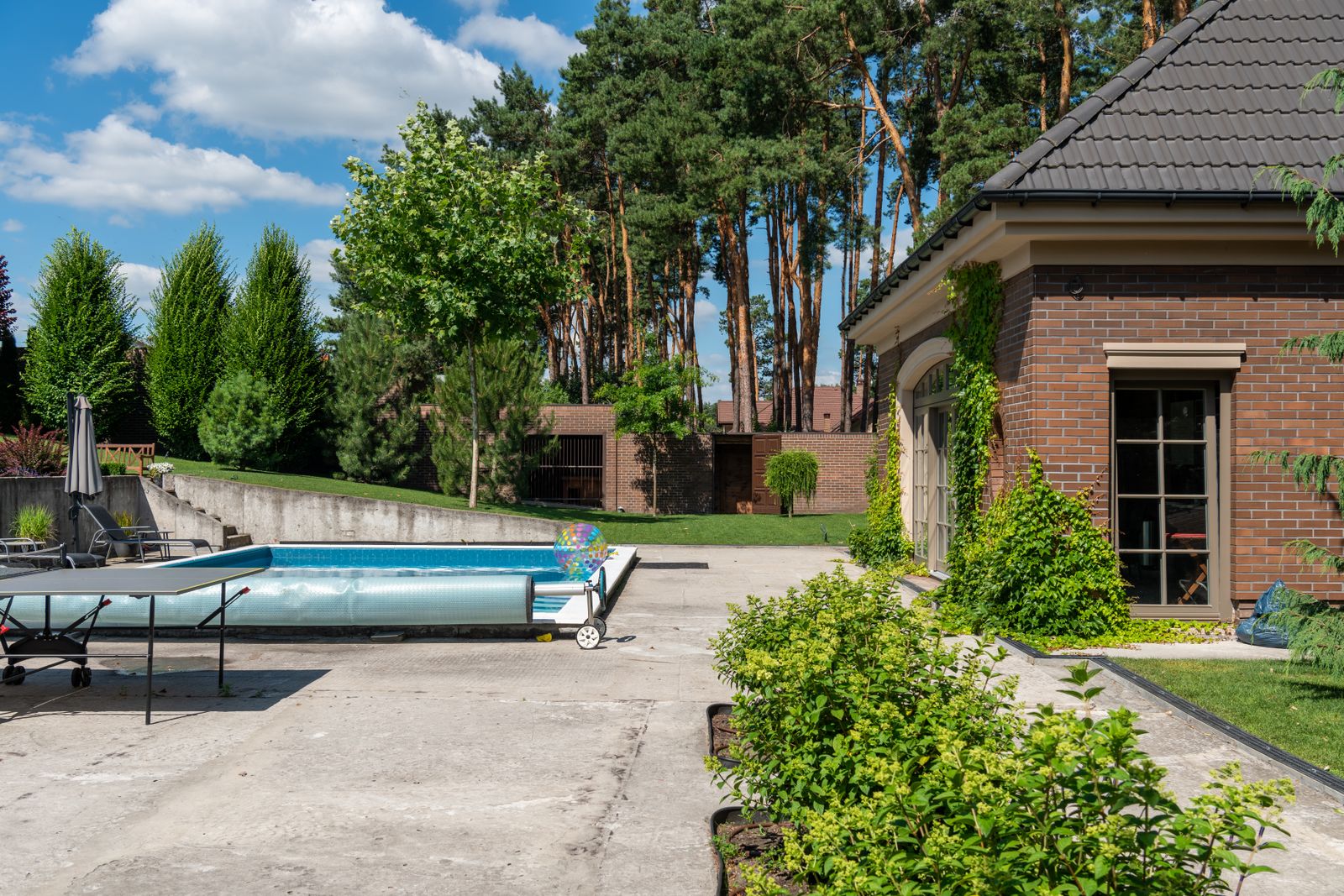 Dive In — Verdugo's & Sons Custom Pools and Spas